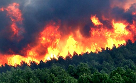 Capcană de incendiu într-un incendiu de pădure
