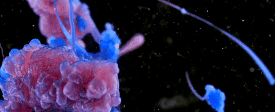 Frumusețea reacțiilor chimice - videoclip de la Beautiful Chemistry