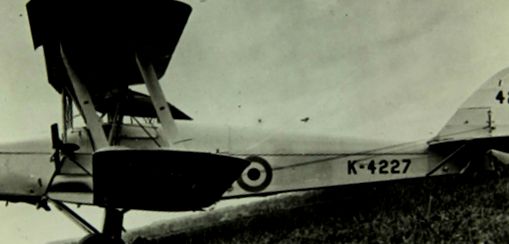 DH.82B Regina Albină