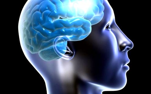 Mituri despre creierul uman