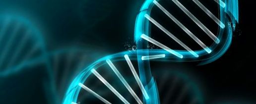 proiectul genomului uman