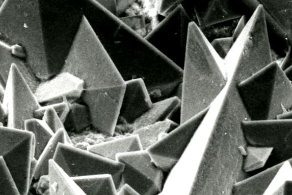 Suprafața cristalelor de nisip din muguri