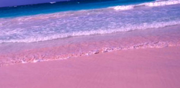 Plaja roz - vacanță și scufundări boeme