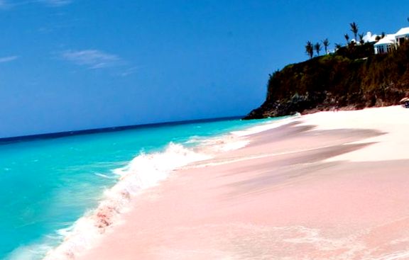 Plaje roz în Bahamas