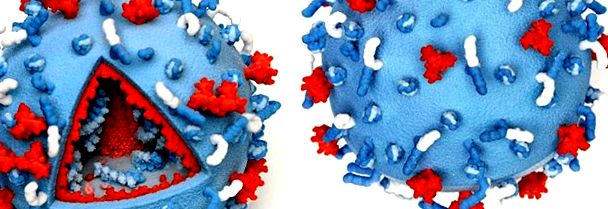 Model 3D al virusului HIV / SIDA