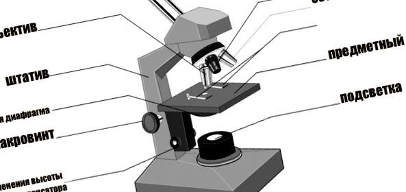 Un dispozitiv bazat pe un microscop școlar